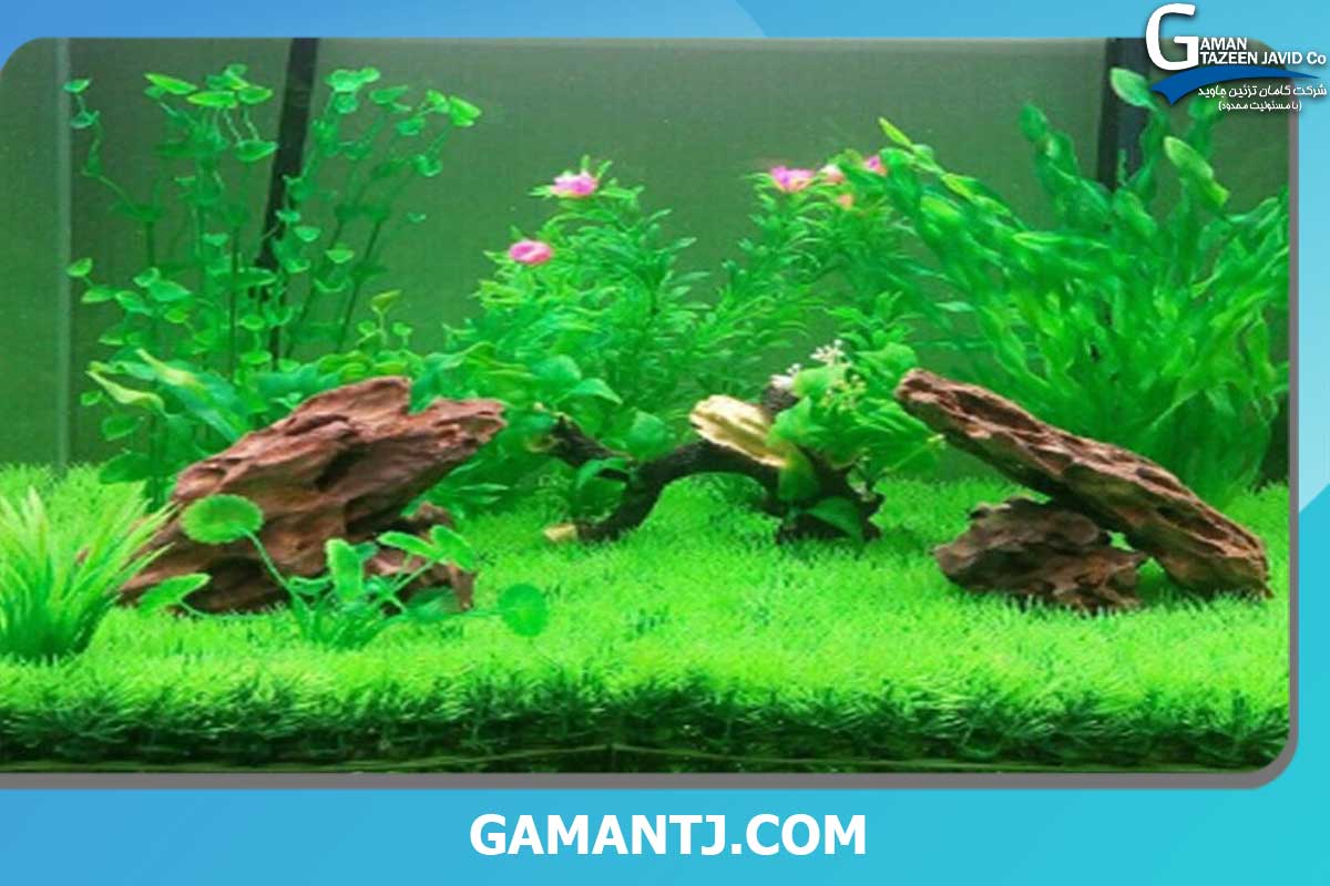 چمن مصنوعی آکواریوم چه ویژگی هایی دارد؟ 1 خرید چمن مصنوعی برای آکواریوم