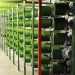 فرایند تولید چمن مصنوعی