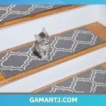 نظافت موکت راه پله منازل
