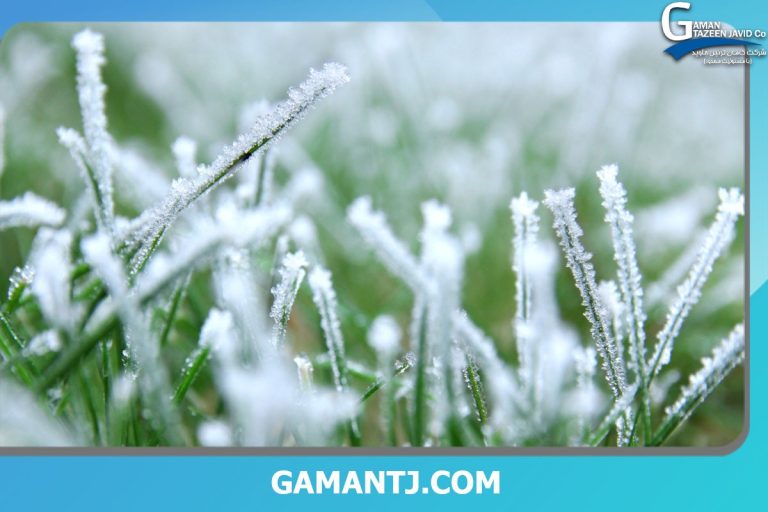 چمن مصنوعی در سرما