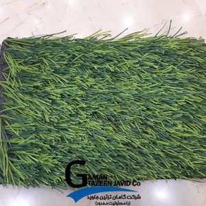 omega soccergrass