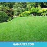 چمن مصنوعی فضای شهری
