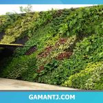 دیوار سبز مصنوعی