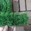 قیمت چمن مصنوعی نواری گامان تزیین