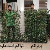 فنس آکاردئونی و ریسه برگ آکاردئونی