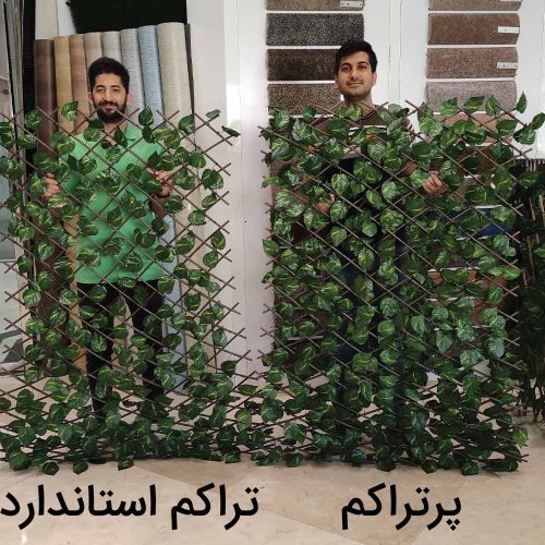 فنس آکاردئونی و ریسه برگ آکاردئونی