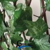 قیمت فنس ریسه آکاردئونی