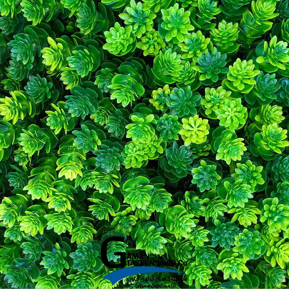 Greenwall-Violet1 دیوار سبز مصنوعی مدل ویولت