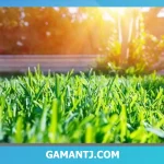 تکنولوژی جدید چمن مصنوعی