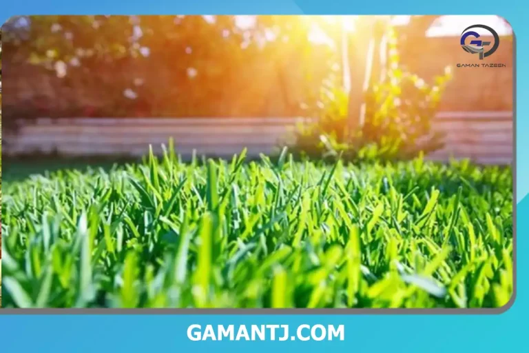 تکنولوژی جدید چمن مصنوعی