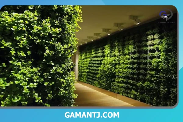نورپردازی اصولی دیوار سبز 