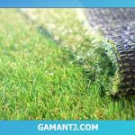چمن مصنوعی به جای چمن طبیعی