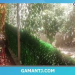 فنس چمنی و پنل آکاردئونی خانم شیده مهدوی