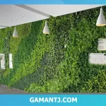 تاریخچه دیوار سبز در ایران