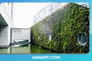 دیوار سبز مصنوعی یا طبیعی