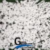 دیوار سبز مصنوعی سفید رنگ