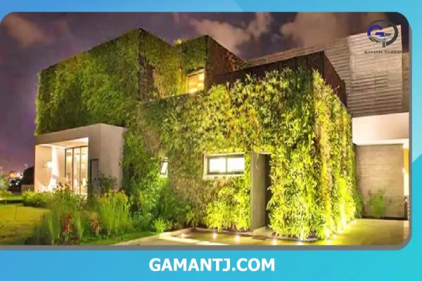 انتخاب بهترین گیاهان طبیعی برای دیوار سبز 