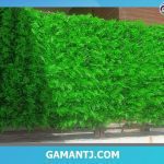 دیوار سبز طیبی