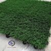 خرید چمن مصنوعی تایل 40 در 40