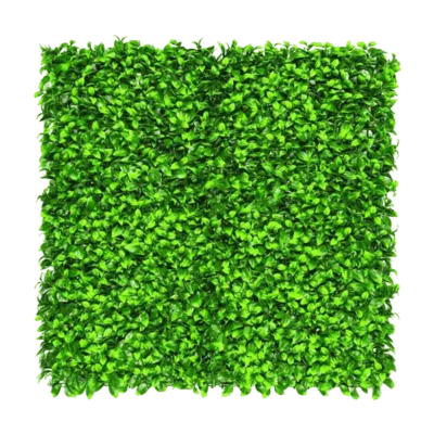 4 400x400 1