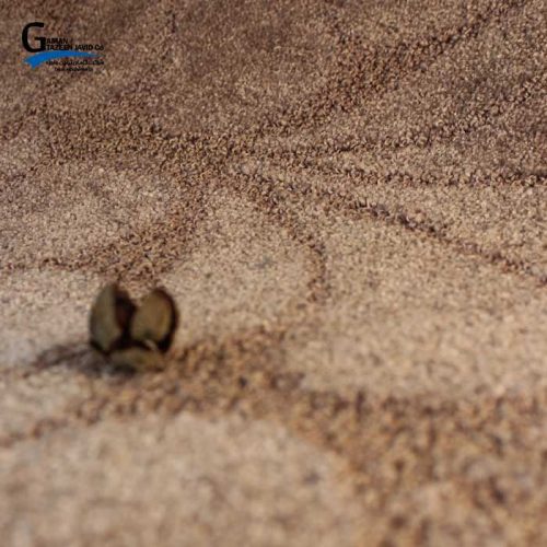موکت آرتا طرح دینا