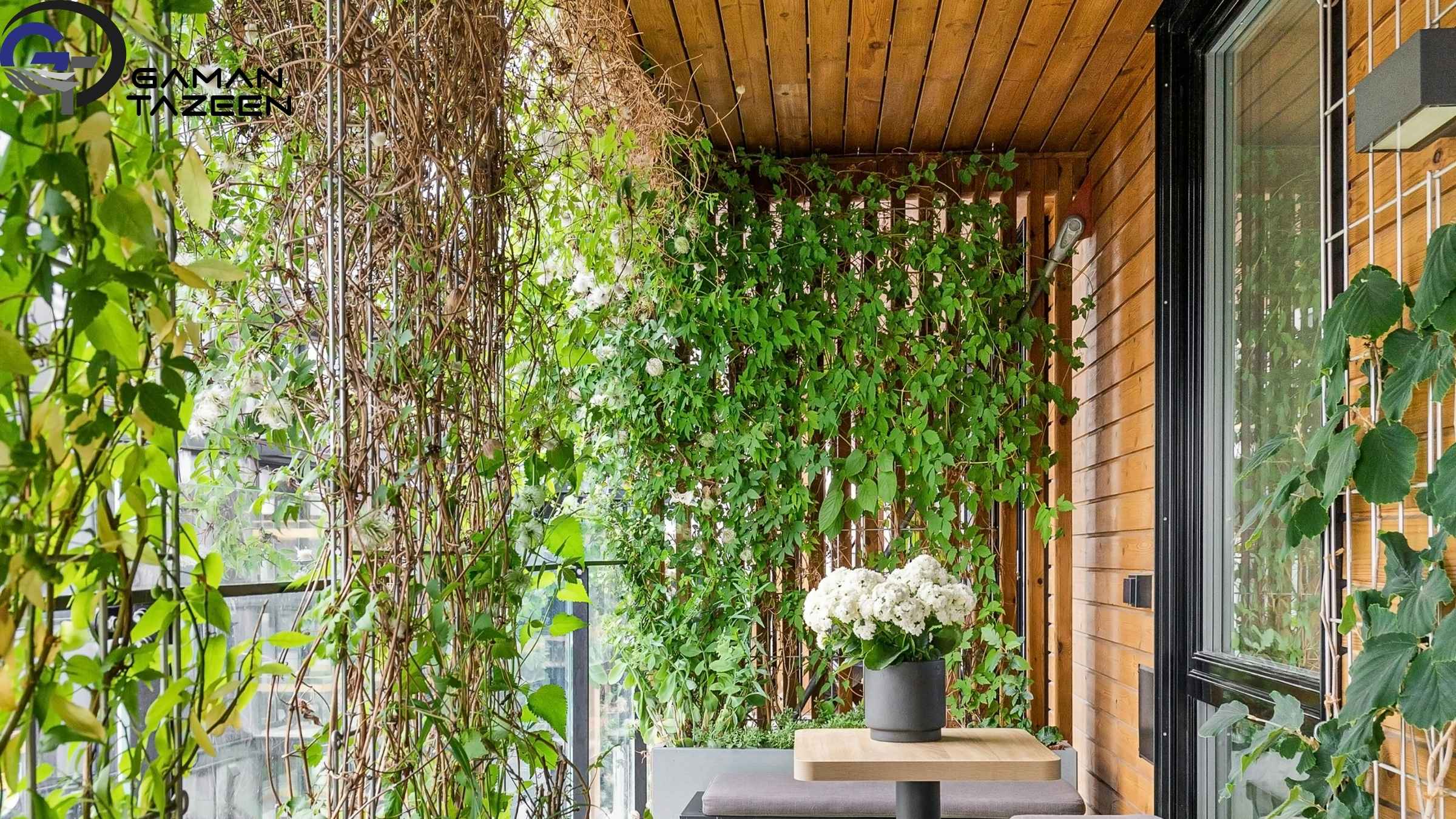 استفاده از گیاهان