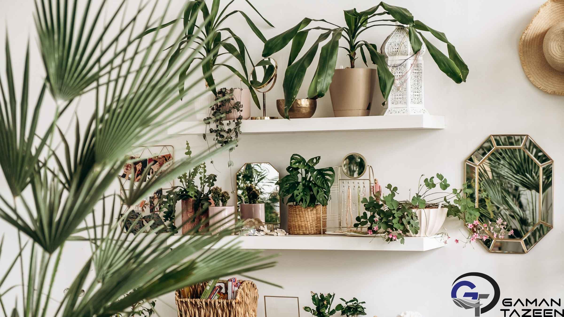 دکوراسیون داخلی شامل چه چیزهایی میشود گیاهان طبیعی در خانه