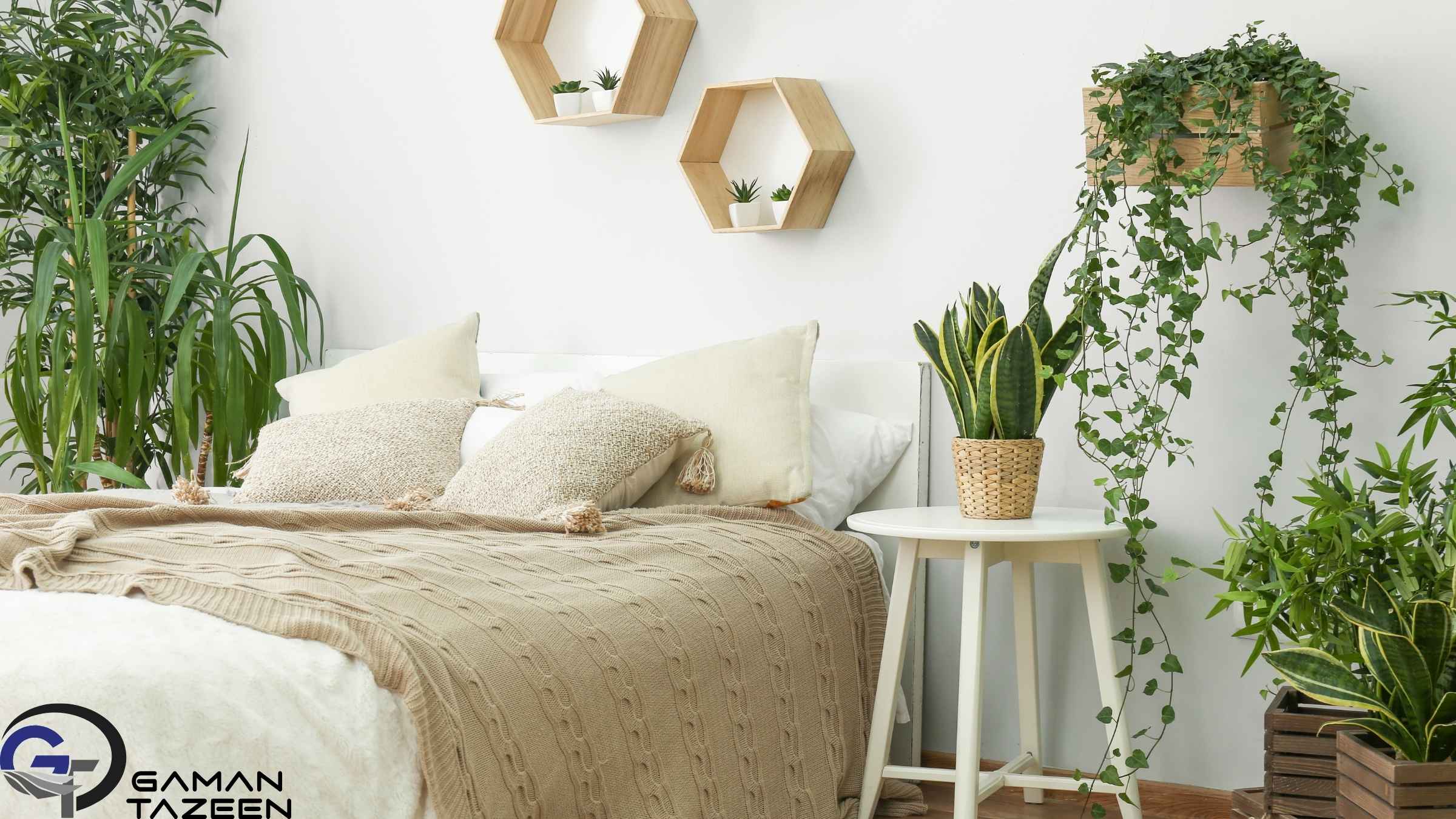 گیاهان طبیعی در دکوراسیون