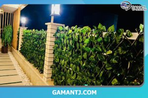 خانم قانونی