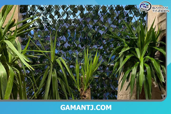 پنل خانم رجبی