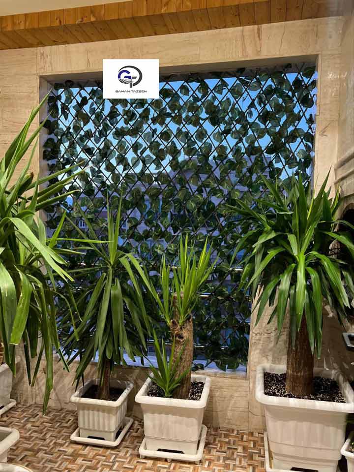 پنل آکاردؤنی خانم رجبی 2 rajabi2