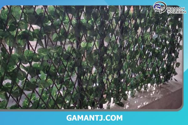 پنل خانم نوروزی