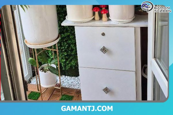 خانم محمودی