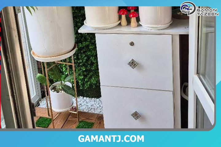 خانم محمودی