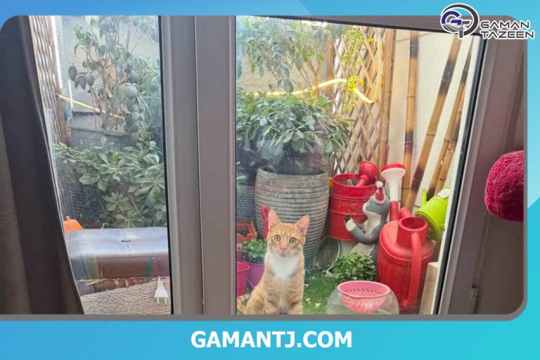 بالکن زیبای خانم شاهرودی از تهران 9 خانم شاهرودی