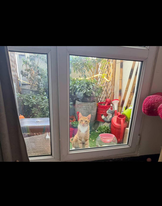 بالکن زیبای خانم شاهرودی از تهران 2 shahroodi1